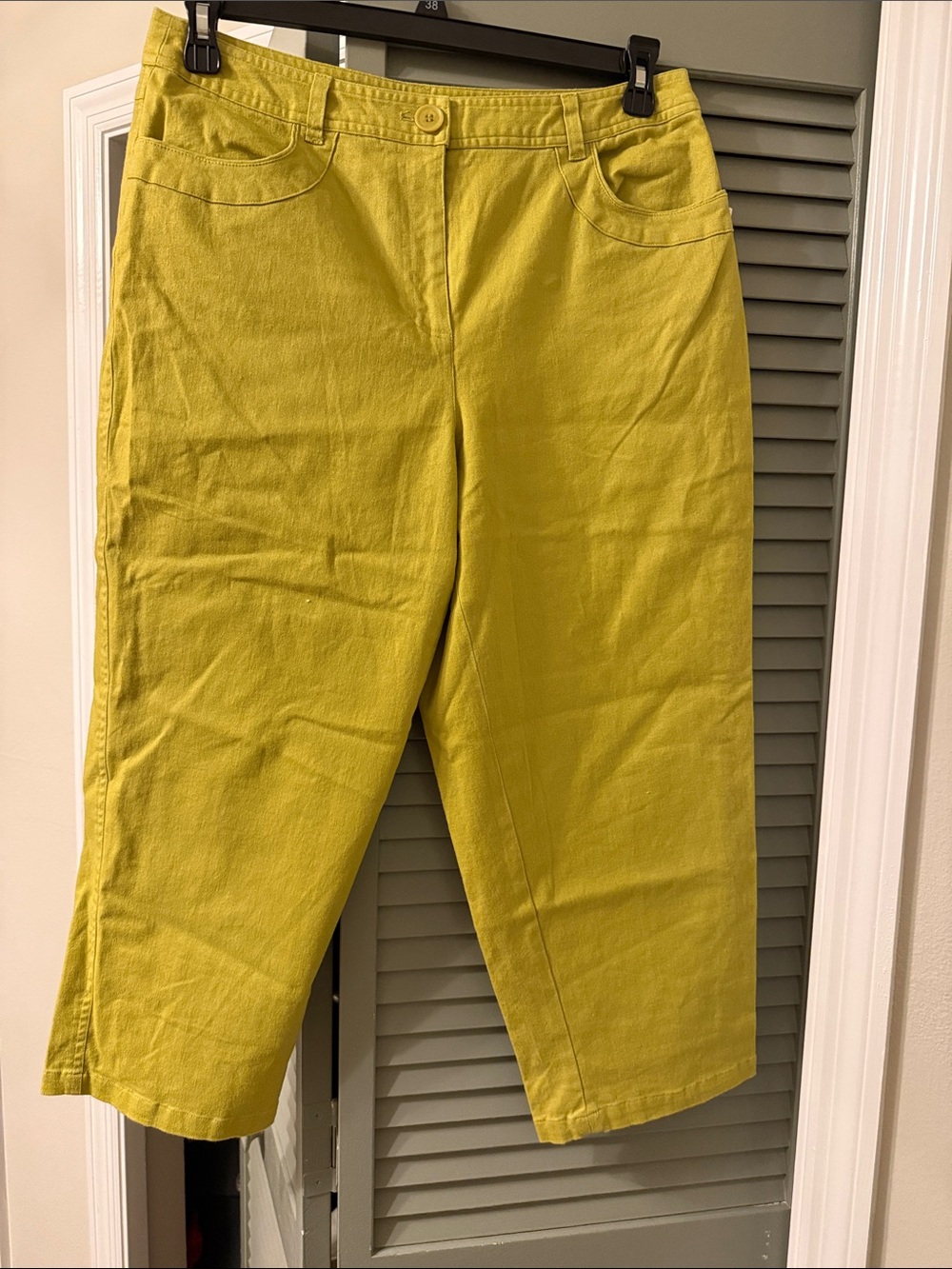Talbots green crop pants